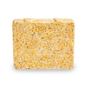 KAYTEE Suet and Seed Bird and Wildlife Food - 11.75oz - 12ct