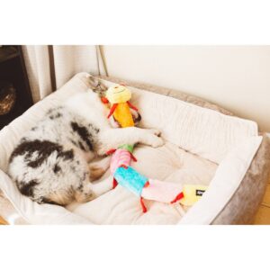 ZippyPaws Caterpillar Deluxe with Blasters Dog Toy - 30"