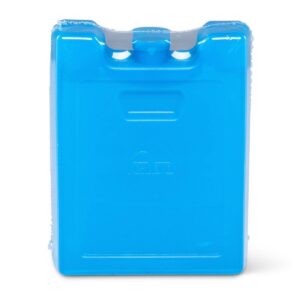 Igloo MaxCold Refreezable Ice Block 2pk - Small