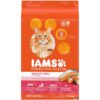 Iams Proactive Health Adult Original with Salmon and Tuna Dry Cat Food - 16lbs