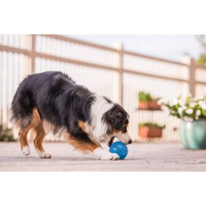 Planet Dog Orbee-Tuff Guru Interactive Puzzle Dog Toy - Blue