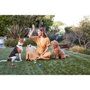 Full Moon Organic Chicken Dog Training Treats Dog Treats - 6oz