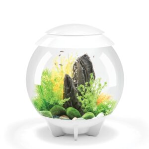 biOrb Classic/Flow 30 Bubble Tube for Aquariums