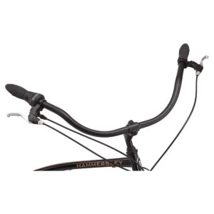 Schwinn Men's Hammersley 29" Cruiser Bike