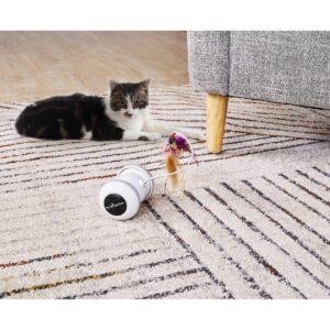 Pet Genius Smart Play Rover Cat Toy - White