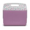 Igloo Playmate Elite 50th Anniversary 16qt Cooler with Decorated Lid - Tea Rose