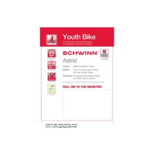 Schwinn Astrid 20" Kids' Bike - Gray