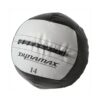Dynamax Stout II 14 Pound 14 Inch Exercise Weight Training Fitness Medicine Ball for Home Gym Core Toning Workout, Gray and Black