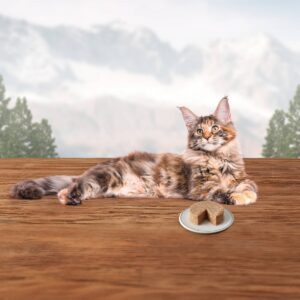 Blue Buffalo Wilderness Grain Free Premium Wet Cat Food Chicken Recipe - 5.5oz