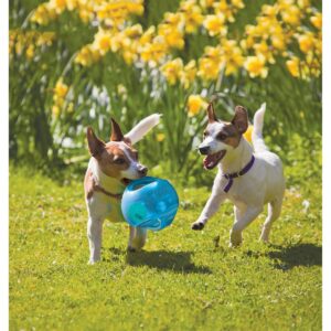 KONG Jumbler Interactive Dog Toy - Blue - M/L