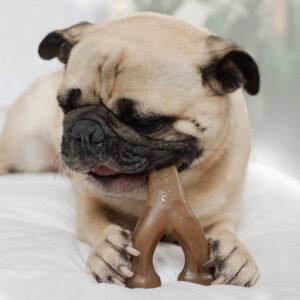 Benebone Wishbone Bacon Dog Toy - S