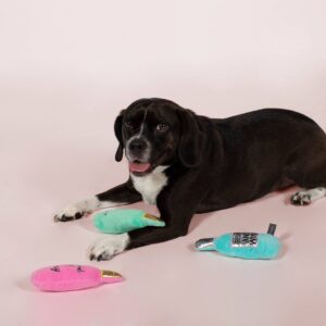 PetShop by Fringe Studio Wine Dog Toys - 3pk