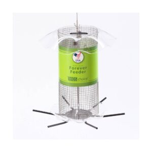 Birds Choice 3qt Forever Black Oil Sunflower - Clear