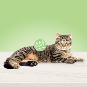 Blue Buffalo True Solutions Skin & Coat Whitefish Flavor Premium Wet Cat Food - 3oz