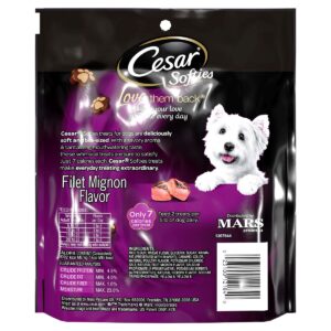 Cesar Softies Beef and Filet Mignon Flavor Chewy Dog Treats - 18oz