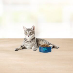 Blue Buffalo Basics Limited Ingredient Diet Indoor with Duck & Potato Adult Premium Dry Cat Food - 11lbs