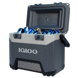 Igloo BMX 25qt Cooler - Gray
