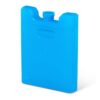 Igloo Refreezable Ice Pack Small - 2pk