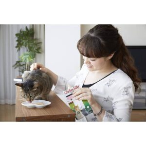 Inaba Churu Grain Free Grilled Chicken Fillet in Chicken Flavored Broth Wet Cat Treat - 0.9oz