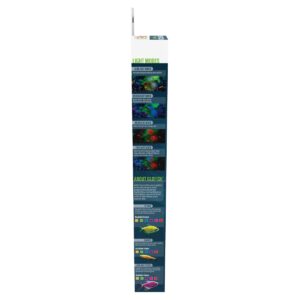 GloFish Cycle Light, 1 Count, For Aquariums Up To 20 Gallons, 4 Modes With White, Blue And Black LED Lights