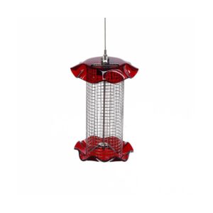 Birds Choice 1qt Forever Black Oil Sunflower Bird Feeder - Red