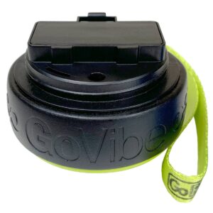 GoFit GoVibe Accu-Massager