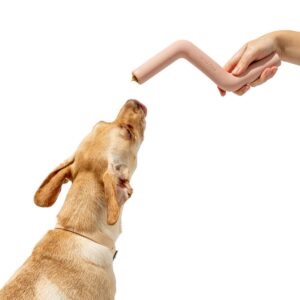 Wild One Bolt Bite Chew & Treat Toy for Dogs - Pink