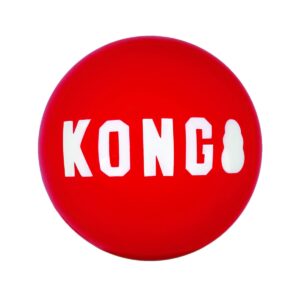 KONG Signature Balls Dog Toy - 2pk - M
