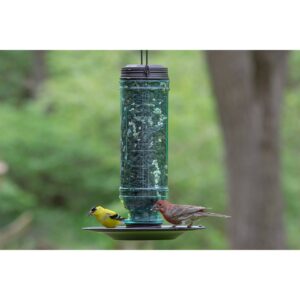 Droll Yankees Stokes Select Songbird Vintage Feeder - Pewter