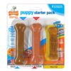 Nylabone Puppy Starter Pack Dog Toy - Brown