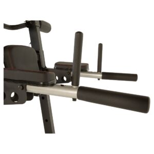 Fitness Reality X-Class High Capacity Multi-Function Power Tower