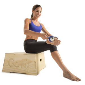 GoFit Polar Roller