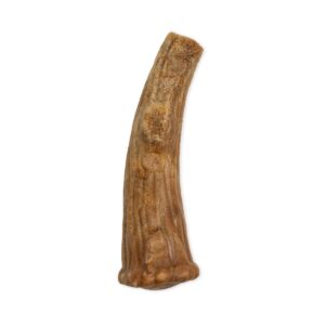 Nylabone Nubz Small/Medium Antler Dental Chews Venison Flavored Chewy Dog Treats - 12ct
