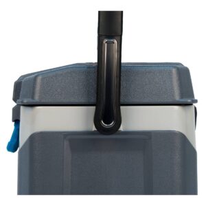 Igloo BMX 25qt Cooler - Gray