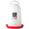 Little Giant 3-Gallon Heavy-Duty Plastic Gravity Fed Poultry Waterer