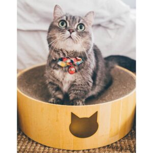 Necoichi Cozy Cat Scratcher Bowl