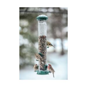 Birds Choice 18" Clever Clean 4-Port Tube Feeder