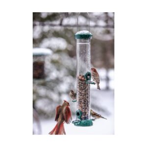 Birds Choice 18" Clever Clean 4-Port Tube Feeder
