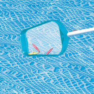 Intex 29056E Basic Swimming Pool Debris Cleaning Kit with Algae Cleaning Wall Brush and Garden Hose Required Vacuum Head