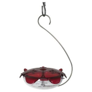 Droll Yankees The Ruby Sipper Hanging Hummingbird Feeder - Clear