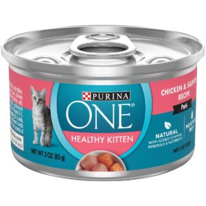 Purina ONE Kitten Chicken Wet Cat Food - 3oz