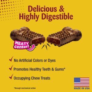 Nylabone Nubz Beef with Meaty Center Chewy Dog Treats - 20pk