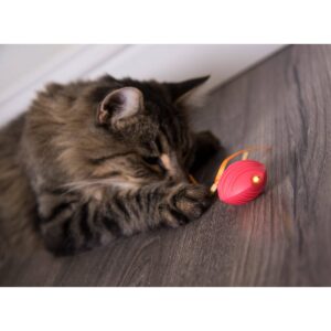 SmartyKat Crazy Cruiser Electronic Motion Cat Toy