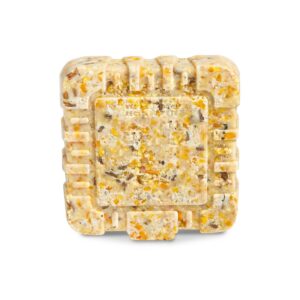 KAYTEE Wild Berry Suet Bird and Wildlife Food - 11.75oz