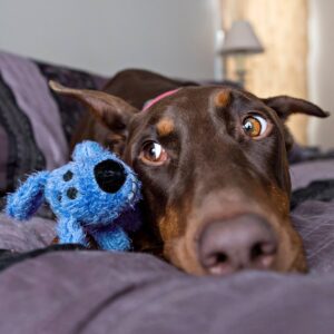 Multipet Loofa The Original Dog Toy - Blue - 6"