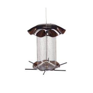 Birds Choice 3qt Forever Black Oil Sunflower Smokey Color