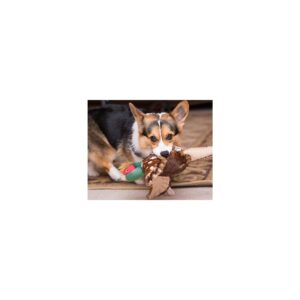Fluff & Tuff IKE The Pheasant, Large Plush Dog Toy with Squeaker
