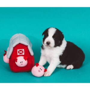 ZippyPaws Burrow Pig Barn Dog Toy