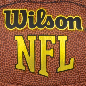 Wilson Touchdown PeeWee Football