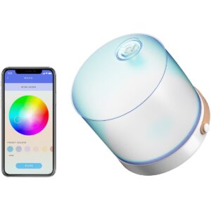 MPOWERD Luci Inflatable Smart Solar Light with Mobile Charger